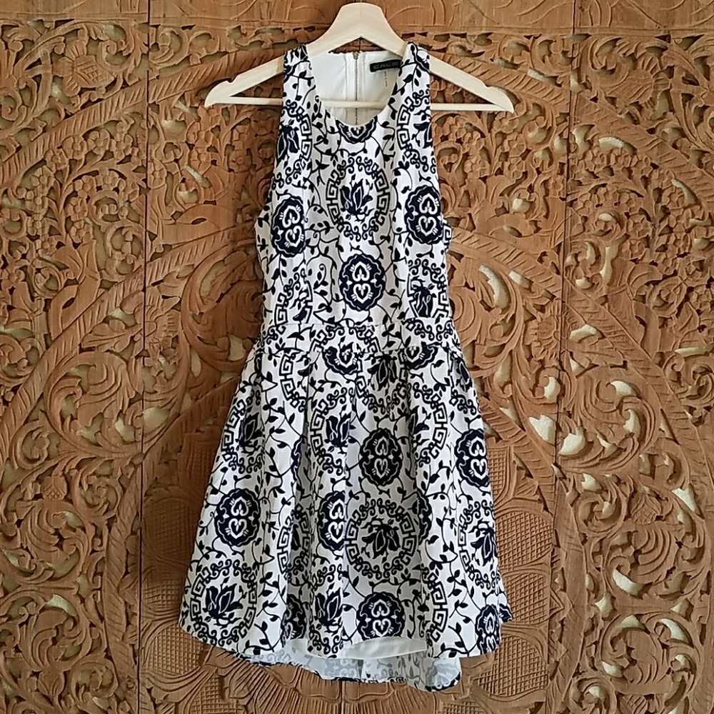 Sweet and flirty skater dress